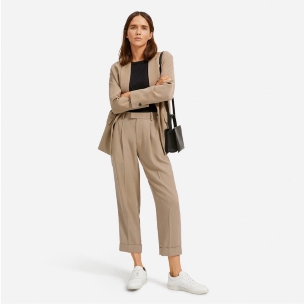Everlane Put -Together Pleat pants in Clay